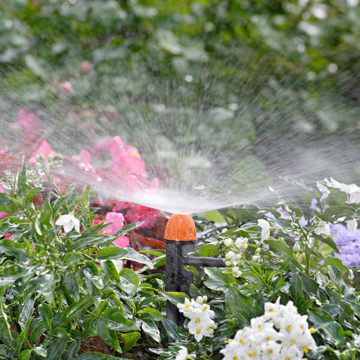 Claber 91229 Stake Mounted Micro Mist Sprayers