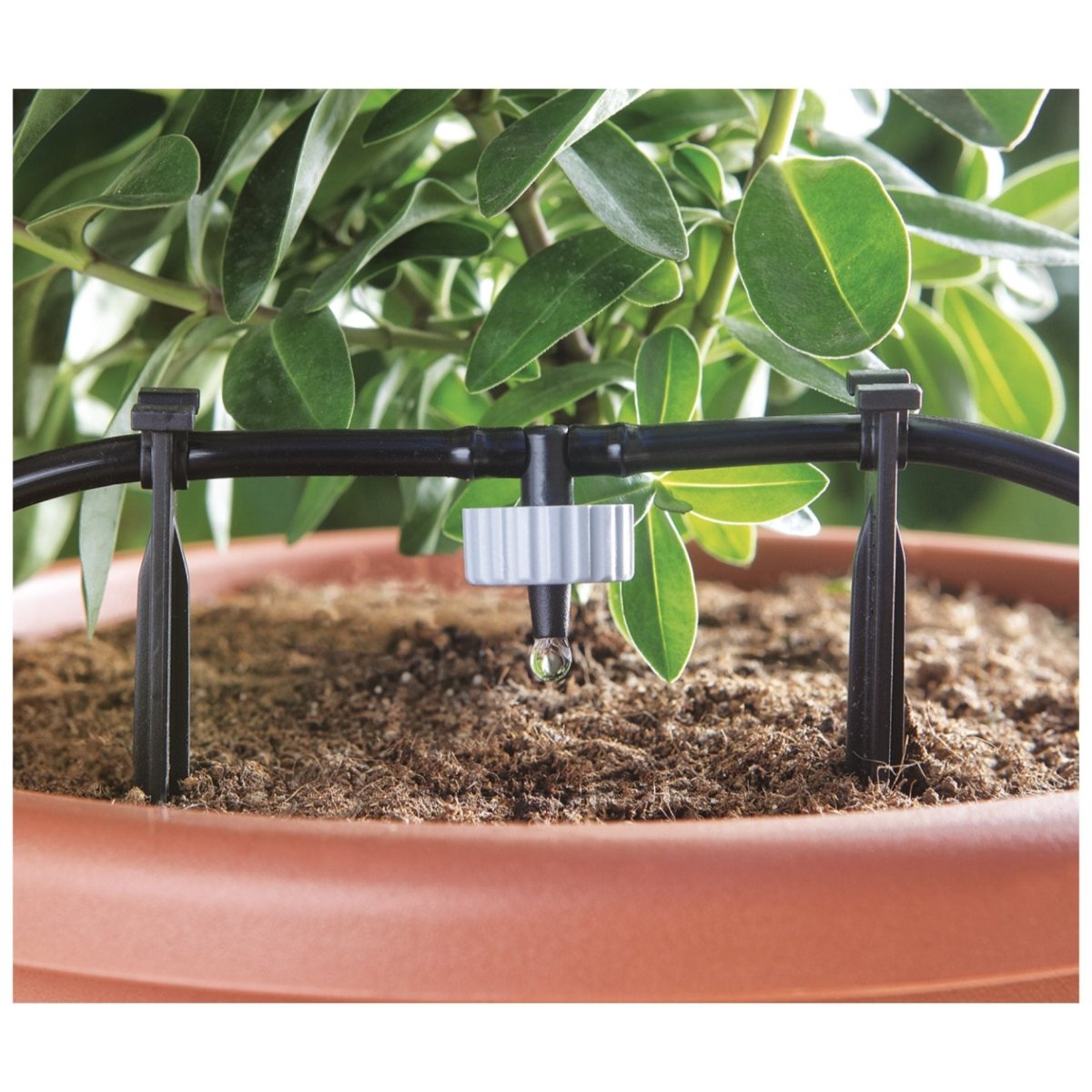 Claber Aqua Magic Drippers