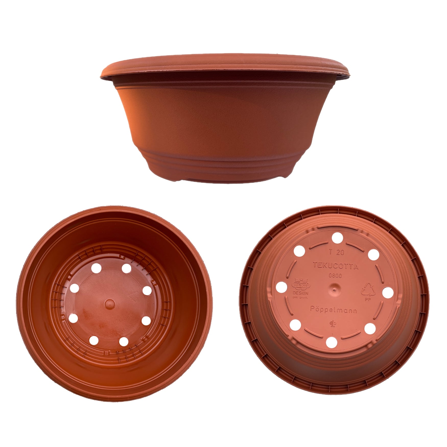 Bulb Bowls - Water-It