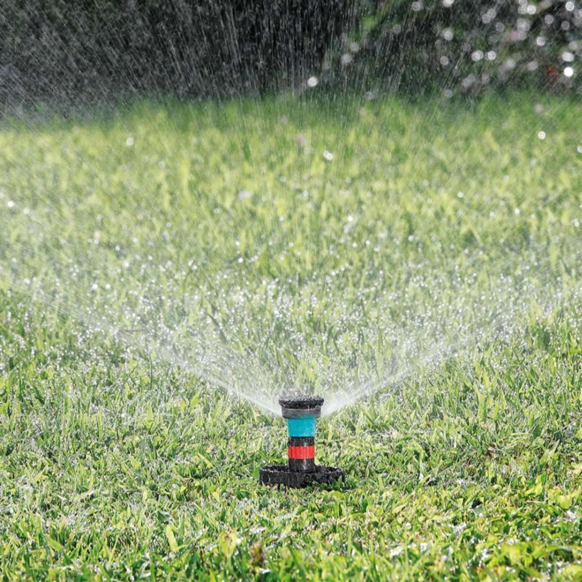 Colibri 90220 180° Pop-Up Sprinkler