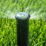 Pop-Up Sprinklers
